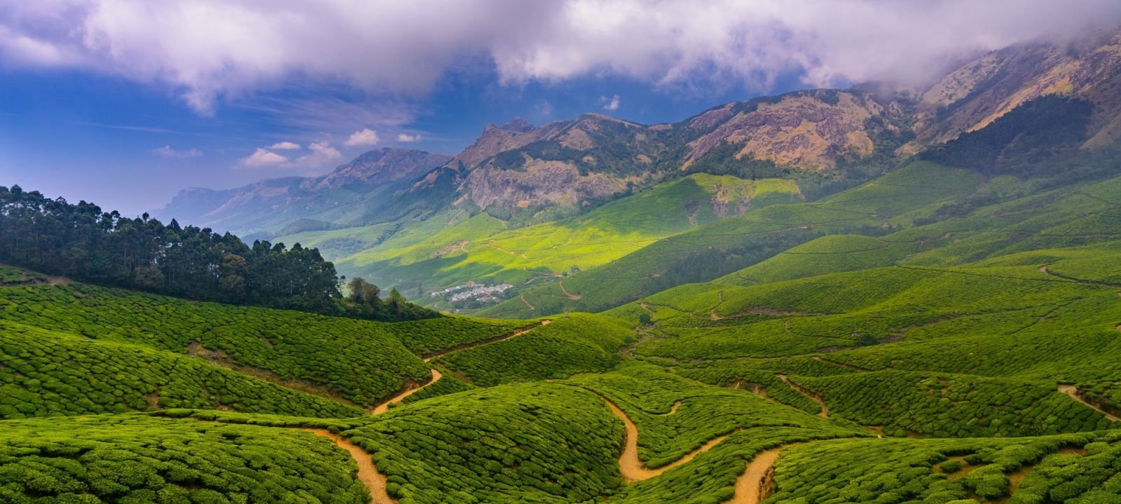 Kerala Cycling Holidays: Mountains, Spices & Backwaters 10 Days